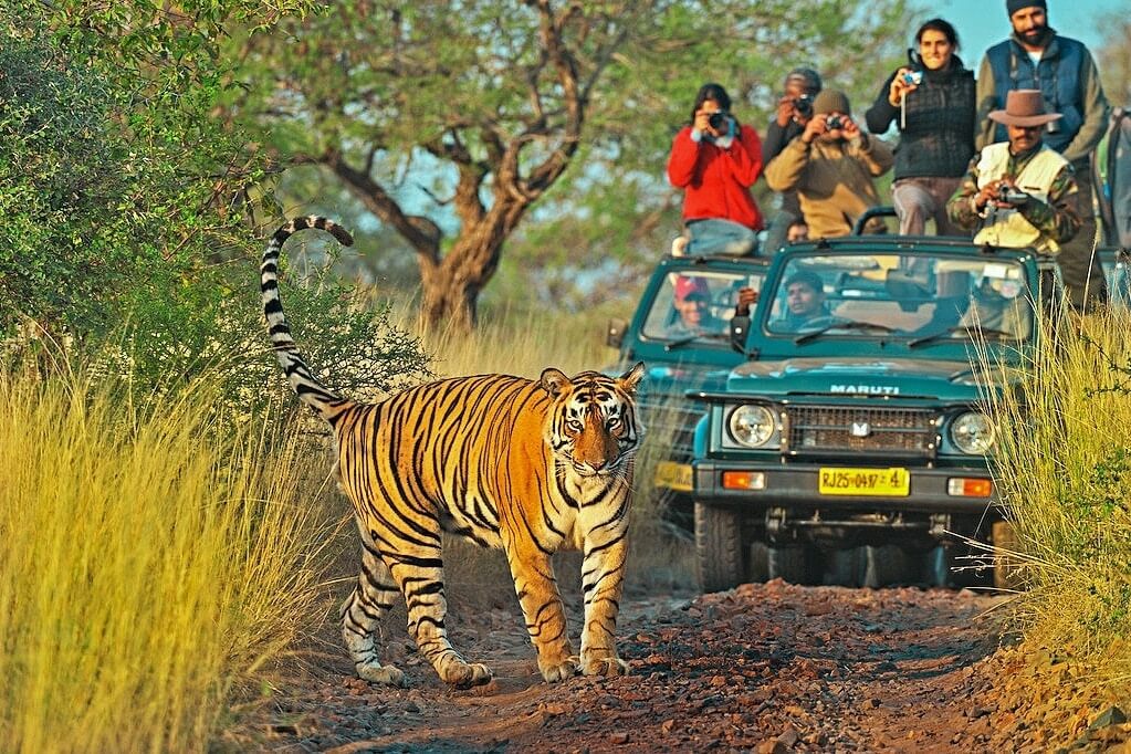 GOLDEN TRIANGLE WITH BHARATPUR & RANTHAMBORE